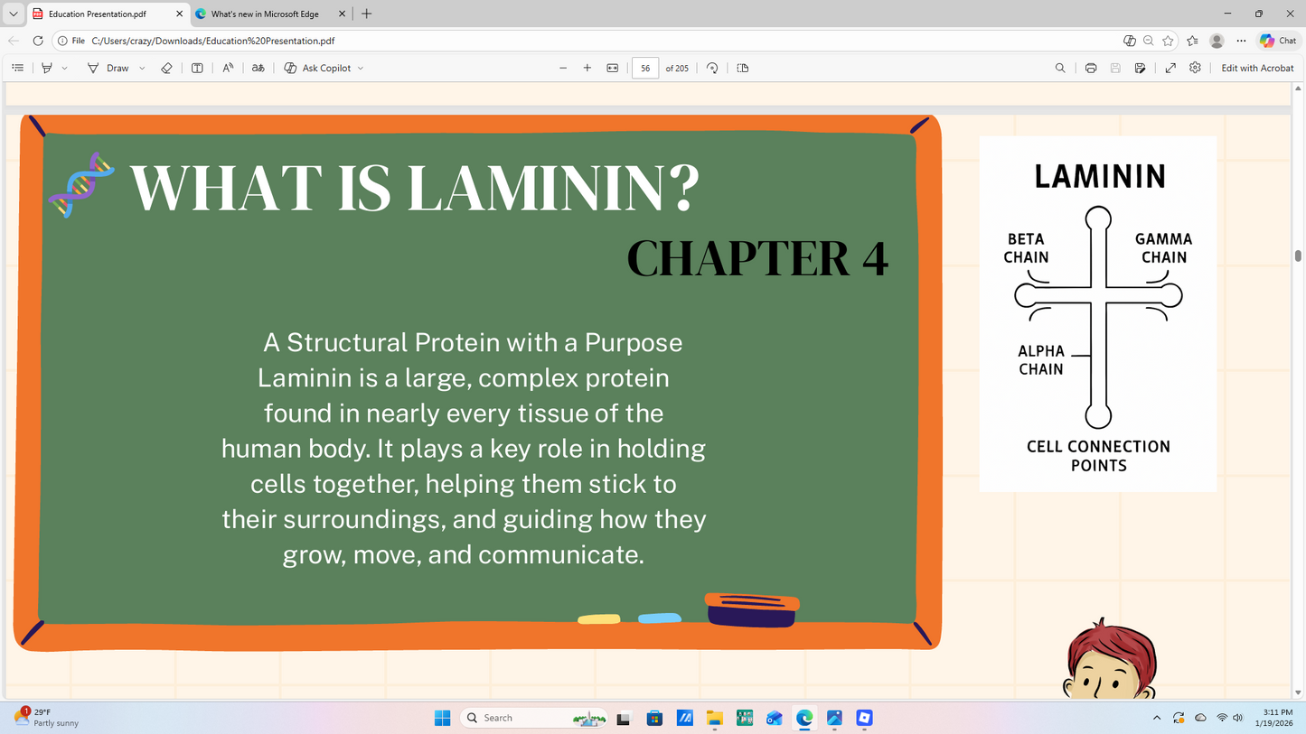 Harmony of Truth: Biblical Science & Biology Curriculum (Grades 3–5)