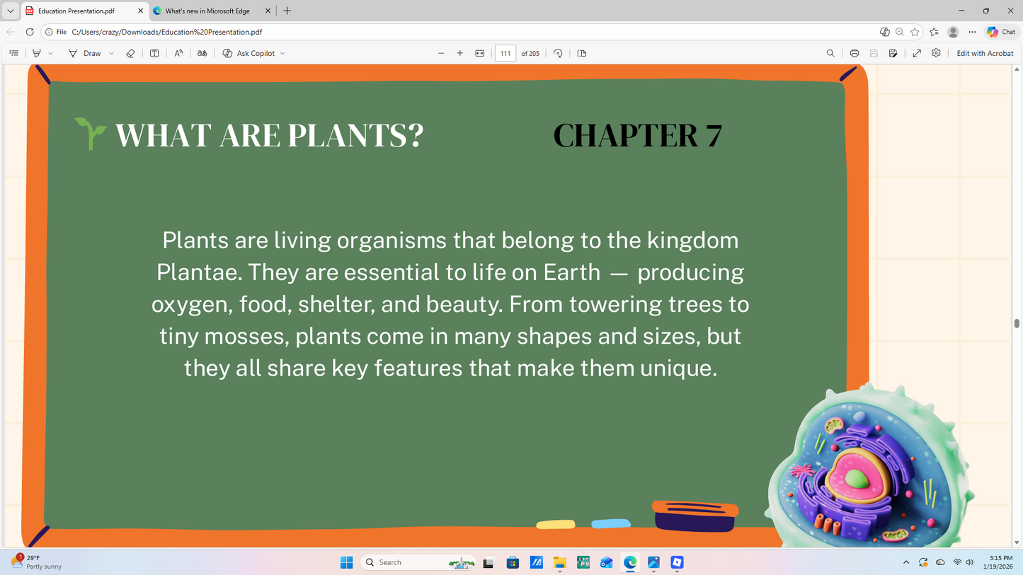 Harmony of Truth: Biblical Science & Biology Curriculum (Grades 3–5)