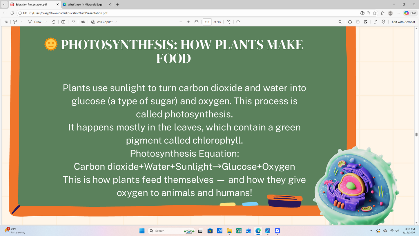 Harmony of Truth: Biblical Science & Biology Curriculum (Grades 3–5)