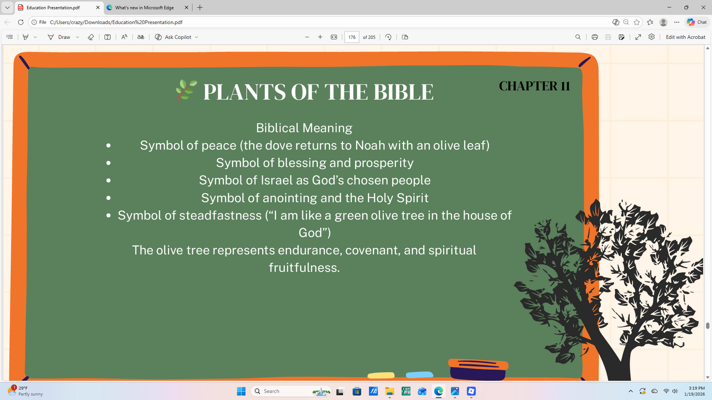 Harmony of Truth: Biblical Science & Biology Curriculum (Grades 3–5)